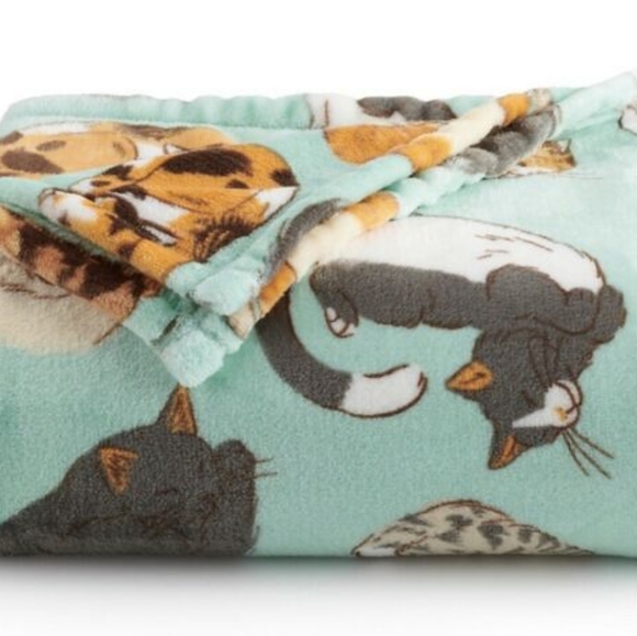 Kohl's Other - Chonky cat mint soft blanket